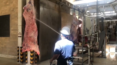 VIDEO Baja sacrificio en Rastro municipal por gastos de &uacute;tiles escolares