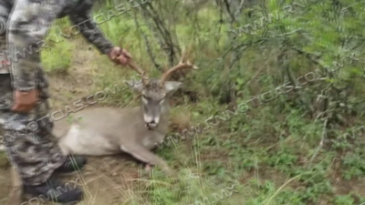 Cazadores listos para la temporada cineg&eacute;tica en Tamaulipas