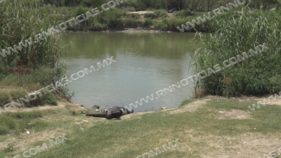 Recuperan otro ahogado del río Bravo; es la víctima 12