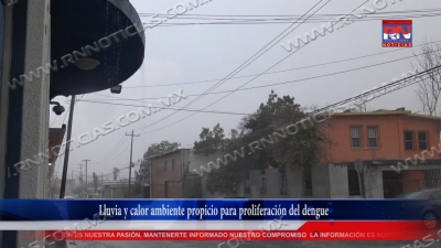 VIDEO Lluvia y calor ambiente propicio para proliferaci&oacute;n del dengue