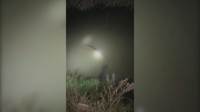 VIDEO Protecci&oacute;n Civil trabaja en posible captura de Cocodrilo en Laguito de Nuevo Laredo