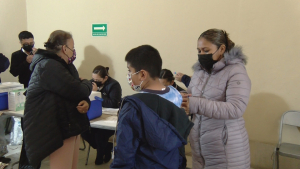 VIDEO Vacunas anticovid para menores deben ser Pfizer; Regidores