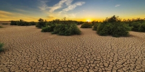 El 45% del suelo mexicano se ha degradado: UNAM