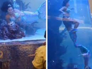 Mujer disfrazada de sirena por poco muere ahogada durante el espect&aacute;culo