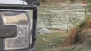 VIDEO Recuperan otro ahogado del río Bravo; van 8 en el 2021