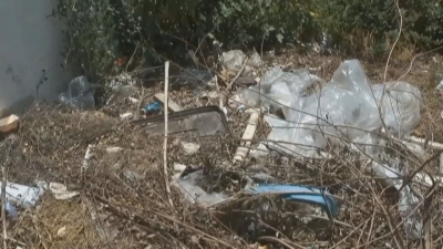 VIDEO Aumenta trabajo para combatir el dengue en Nuevo Laredo