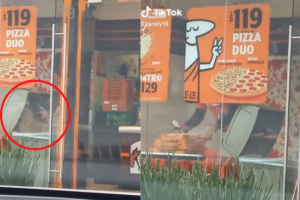 Captan a empleado de pizzer&iacute;a sacando cajas de la basura; aseguran que para reutilizarlas