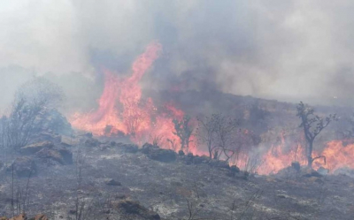 Avanza fuego sin control en zona del Cielo