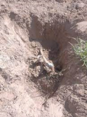 Localizan otra fosa clandestina en Reynosa; es la sexta del 2024