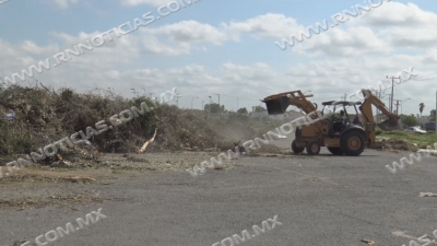 Buscan empresa para trituración de ramas y árboles; van más de 300 toneladas