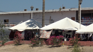 VIDEO Cruce de migrantes de CBP ONE baja por Nuevo Laredo: INM