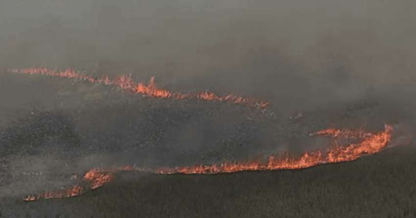 Hay 24 incendios forestales activos en 8 estados del país, incluidas 5 áreas naturales protegidas