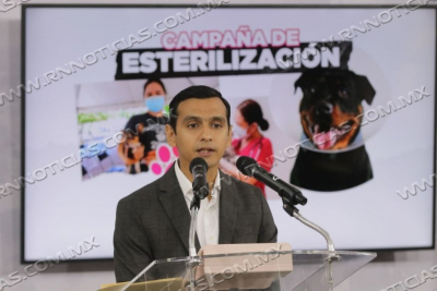 GOBIERNO MUNICIPAL FACILITA ESTERILIZACI&Oacute;N PARA 200 ANIMALES DOM&Eacute;STICOS