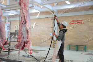 RASTRO MUNICIPAL DE NUEVO LAREDO MANTIENE ESTATUS SANITARIO INTERNACIONAL TRAS AUDITORÍA
