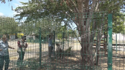 Protecci&oacute;n Civil trabaja en posible captura de Cocodrilo en Laguito de Nuevo Laredo