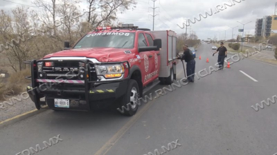 Aumentan 200 por ciento incendios en zacatales por calor