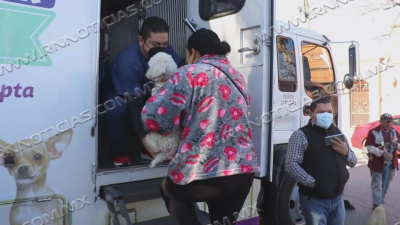 Gobierno municipal har&aacute; segunda campa&ntilde;a de esterilizaci&oacute;n canina y felina