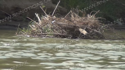 VIDEO R&iacute;o Bravo debe cuidarse y mantenerse limpio; CIERB