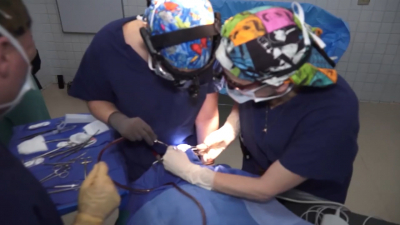 VIDEO Hospital civil contin&uacute;a con campa&ntilde;a de cirug&iacute;as a bajo costo