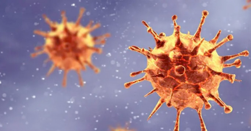 Japón declara epidemia por más de 84 mil casos de influenza