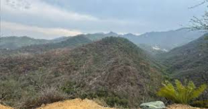 Incendio en el Ca&ntilde;&oacute;n del Novillo siniestr&oacute; casi 6 km de sierra, revela Google Maps