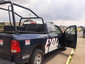 Encuentran a perros que com&iacute;an una cabeza humana en Hidalgo