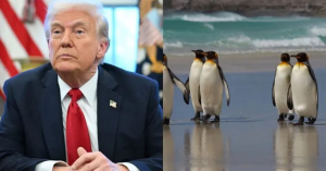 Donald Trump impone aranceles a islas donde sólo viven pingüinos y focas