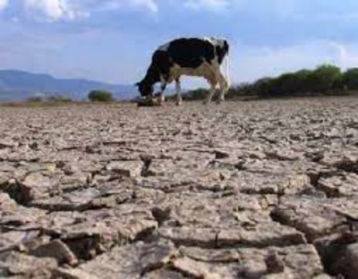 Sequ&iacute;a extrema en 20 municipios