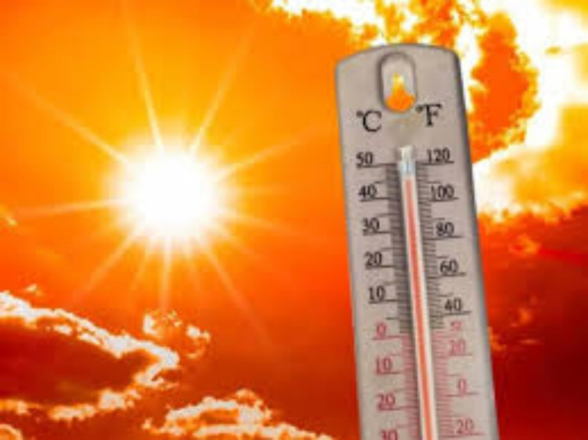 Prepárese; pronostican sensaciones térmicas de hasta 50° para varias regiones de Tamaulipas