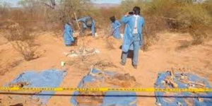 Hallan fosa con al menos 18 cuerpos en Sonora