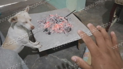 Pide Protecci&oacute;n Civil no introducir anafres a hogares en temporada de fr&iacute;os