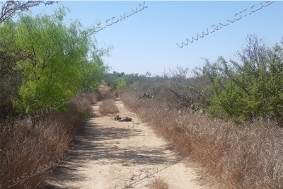Encuentran esqueleto en brecha de Nuevo Laredo