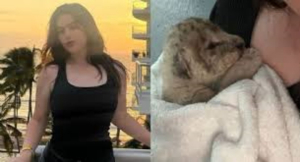 Hija del Canelo &Aacute;lvarez presume su mascota: un cachorro de le&oacute;n