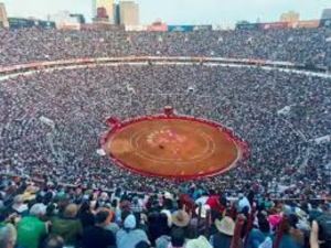 Reactivan corridas de toros en la Plaza México
