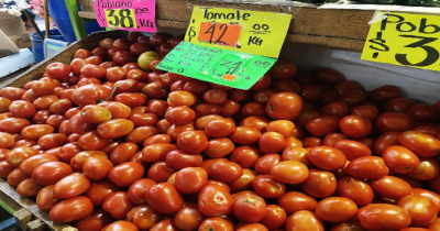 Aranceles de EU al tomate no afectarán a Tamaulipas