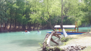 Est&aacute; contaminado el R&iacute;o Guayalejo