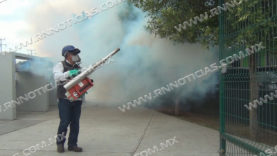 Viene temporada propicia para proliferaci&oacute;n del dengue