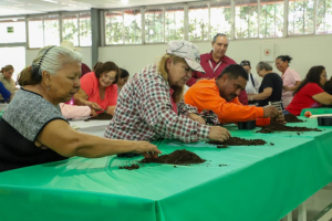 *INICIA GOBIERNO DE NUEVO LAREDO CURSOS DE HUERTOS FAMILIARES PARA PROMOVER LA AUTOSUFICIENCIA ALIMENTARIA*
