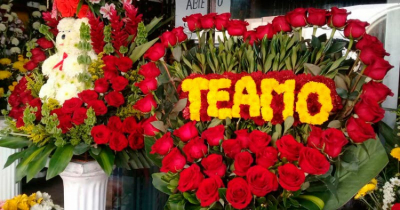 Alerta para los enamorados habrá escasez de flores