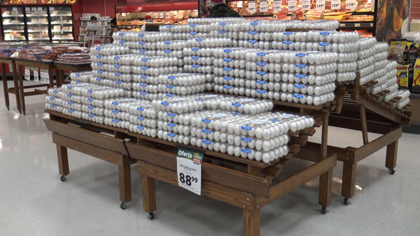 VIDEO Gripe aviar encarece precio del huevo en frontera de Nuevo Laredo
