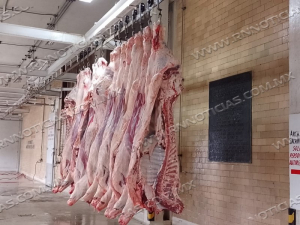 POR TEMPORADA DECEMBRINA AUMENTA DEMANDA EN EL RASTRO MUNICIPAL