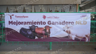Reciben ganaderos de Nuevo Laredo apoyos para comprar sementales