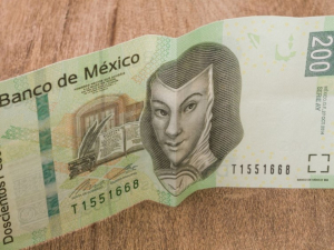 Incremento del 20% a salario m&iacute;nimo tendr&aacute; impacto nulo en inflaci&oacute;n: Conasami