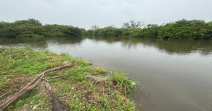CNP alerta por crecida de ríos y lagunas en Tamaulipas