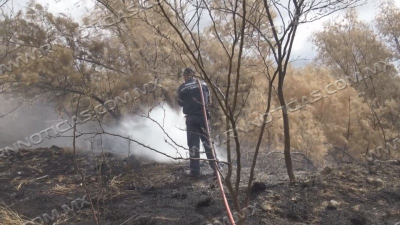 Aumentan 50 por ciento incendios en zacatales por sequedad de hierba