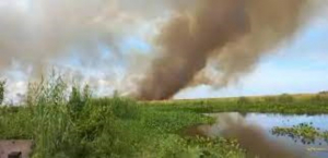 Registra laguna de Champay&aacute;n dos incendios de tular