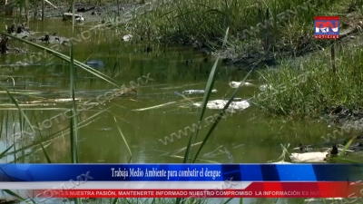 VIDEO Trabaja Medio Ambiente para combatir el dengue