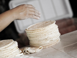 En Victoria durante marzo el Kilo de tortillas podr&iacute;a costar $27 pesos