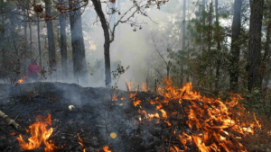 Dos incendios han quemado hasta 60 hect&aacute;reas en la sierra