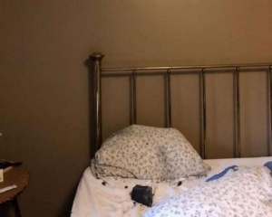 Se salva de morir, meteorito cae junto a su cama